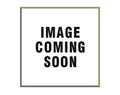 GAS Spring B50016