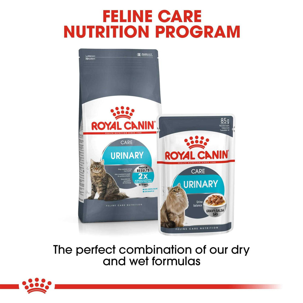 Wet Cat Food Q665