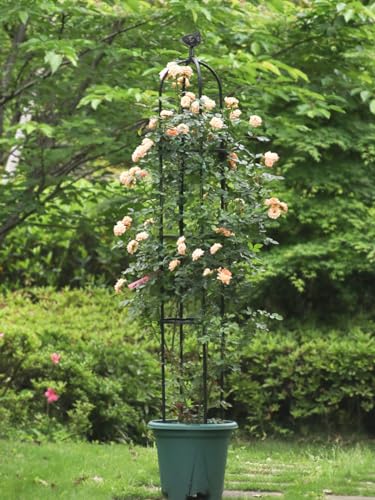 White Rustproof Metal Garden Trellis N438
