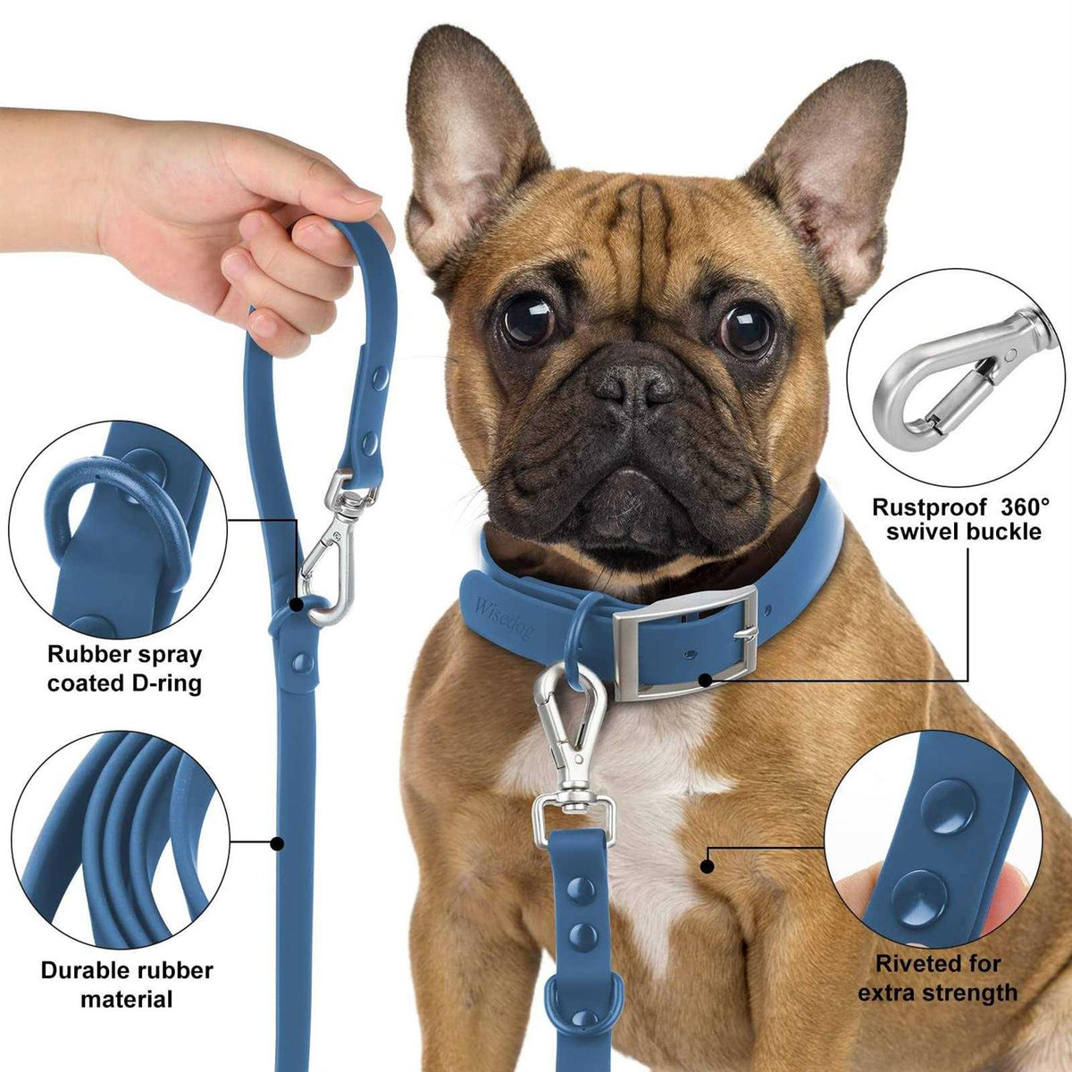 Waterproof Dog Leash with 2 Hooks T610