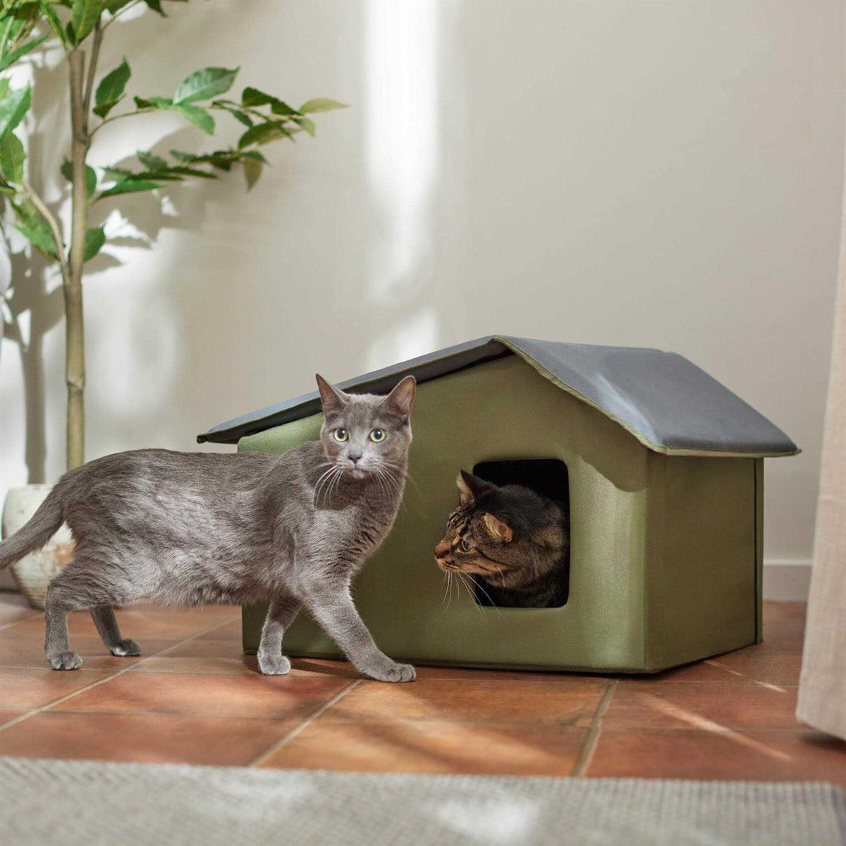 Extra Wide Indoor Cat House Q8904