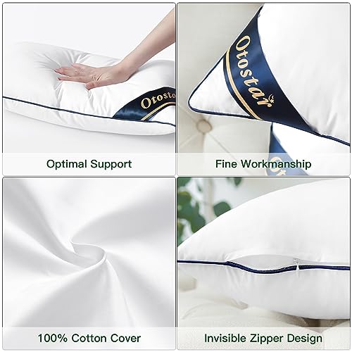 Pack of 2 Throw Pillow Inserts, 12x20, White, 100% Cotton Cover P100976