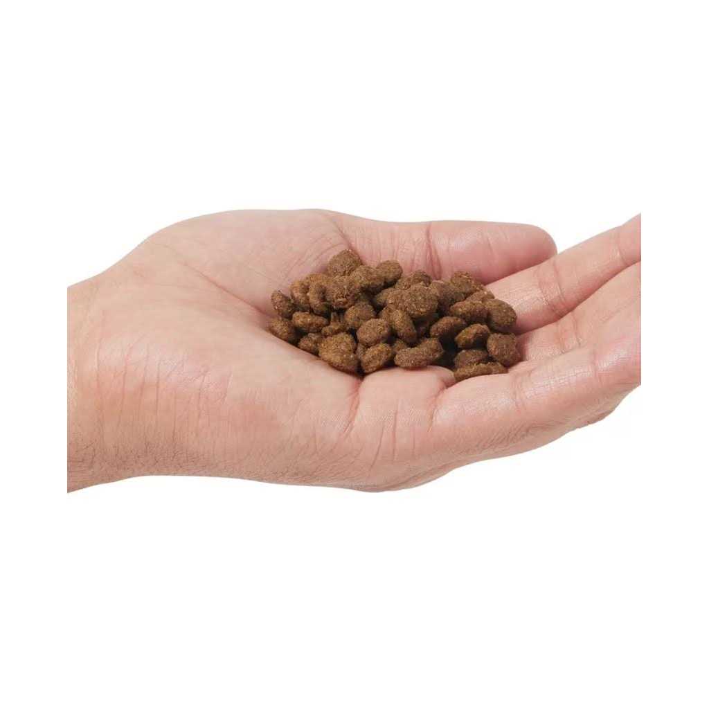 Grain Free Dry Cat Food M4511