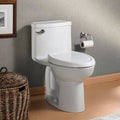 Elongated 1 Piece Toilet with Seat 1.28 GPF L916891