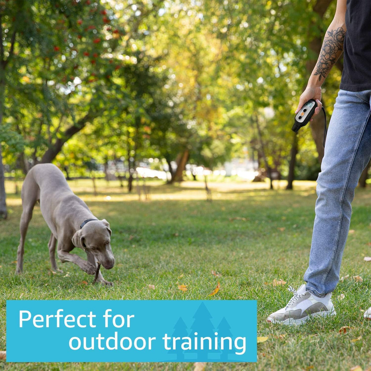 Waterproof Dog Training Shock Collar with Remote K812