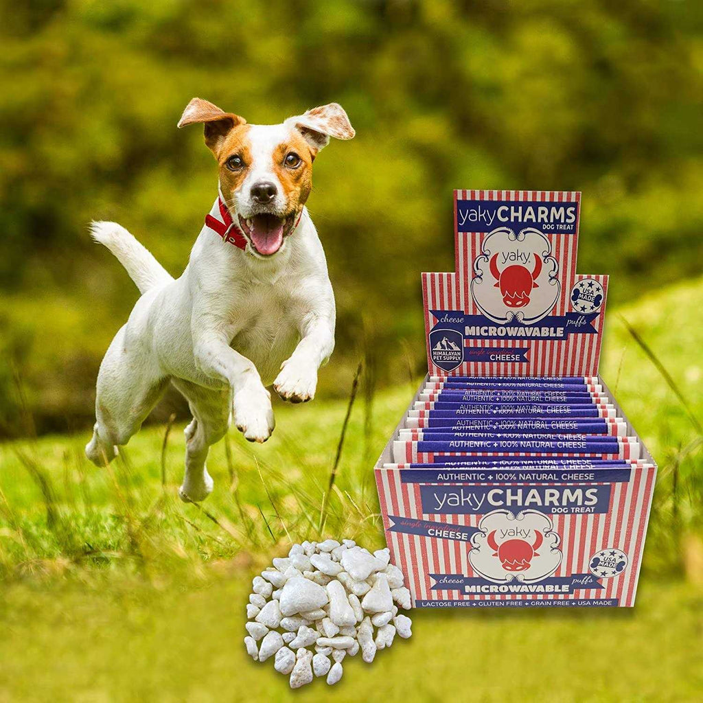 Yaky Charms L263