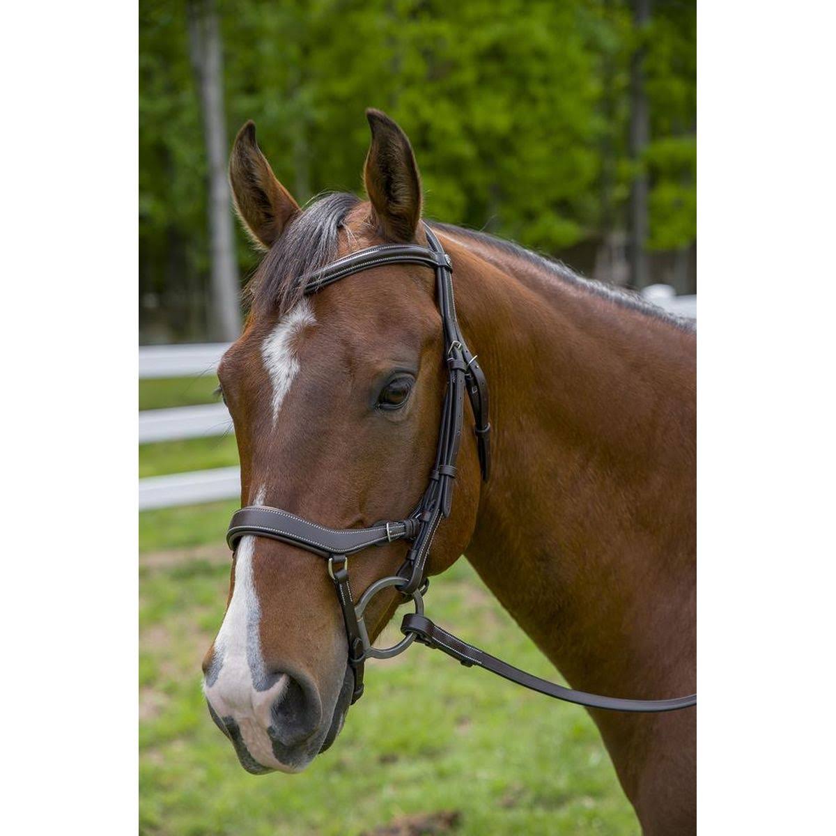 Bridle X4577