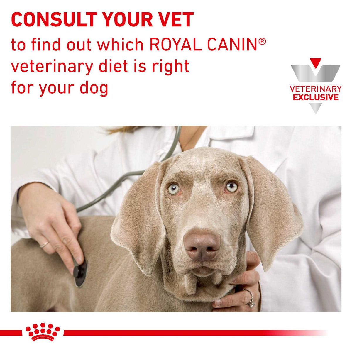 Veterinary Diet Canine Urinary SO Dry Dog Food E779