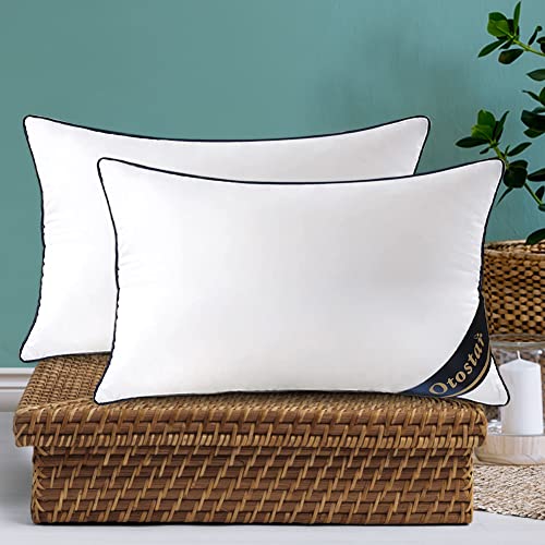 Pack of 2 Throw Pillow Inserts, 12x20, White, 100% Cotton Cover P100976