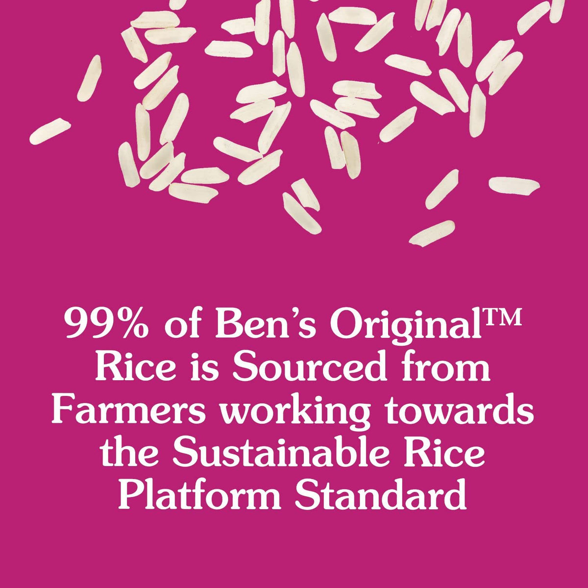 Whole Grain Brown Rice, 1 LB Box (Pack of 12) K5222