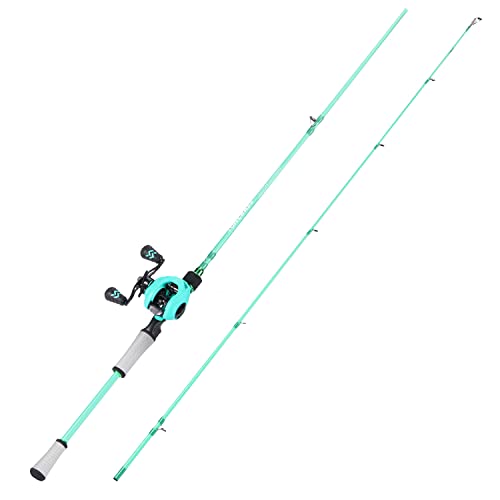 Spinning & Baitcasting Fishing Rod Reel Combo with Graphite Blanks, Stainless Steel Guides M19708