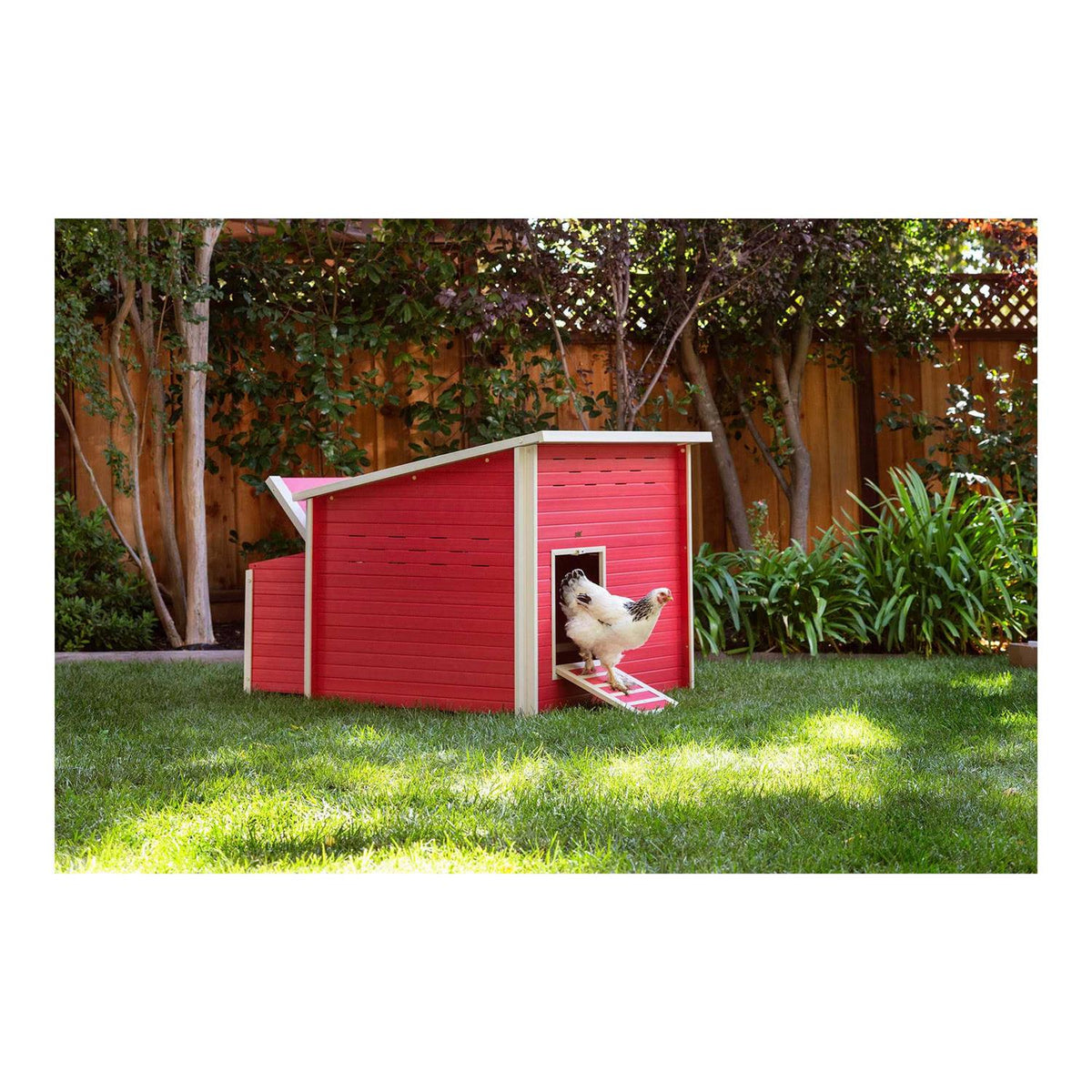 Chicken Barn U4964