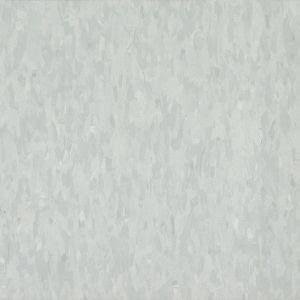 Powder Gray 12 x 12 Migrations V5931