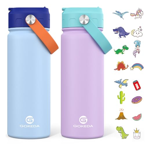 18oz Insulated Stainless Steel Kids Water Bottle with Stickers N138