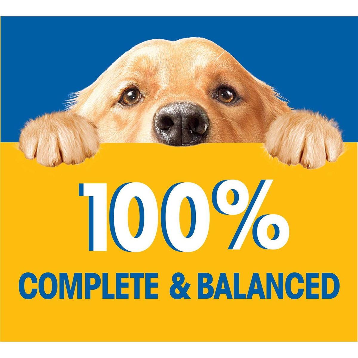 Wet Dog Food Chopped Ground Dinner T993