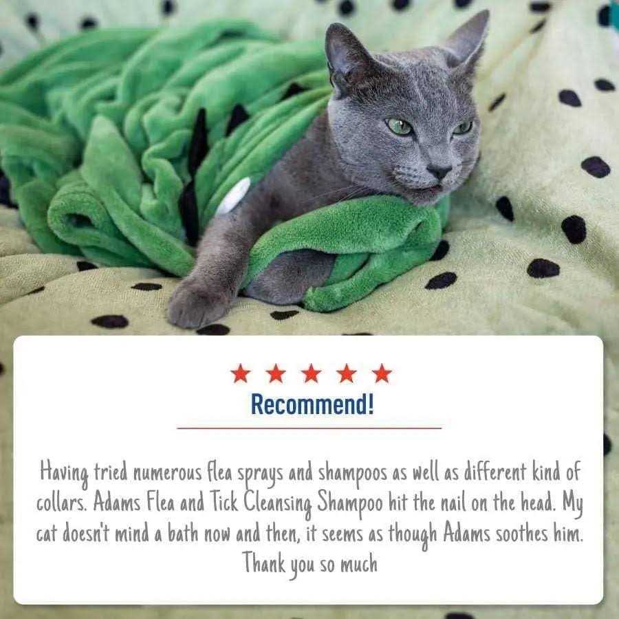 Flea Tick Shampoo G50364