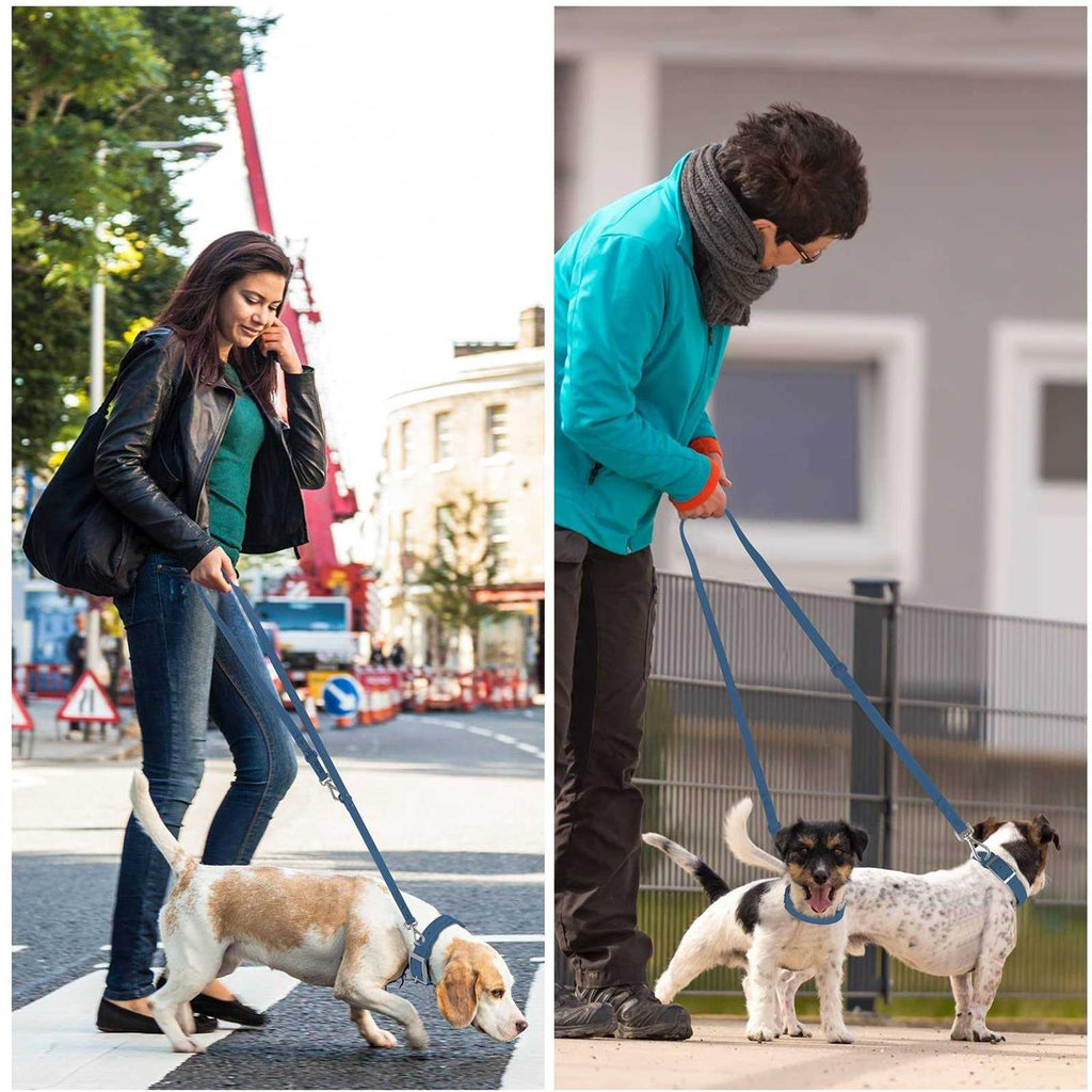 Waterproof Dog Leash with 2 Hooks T610