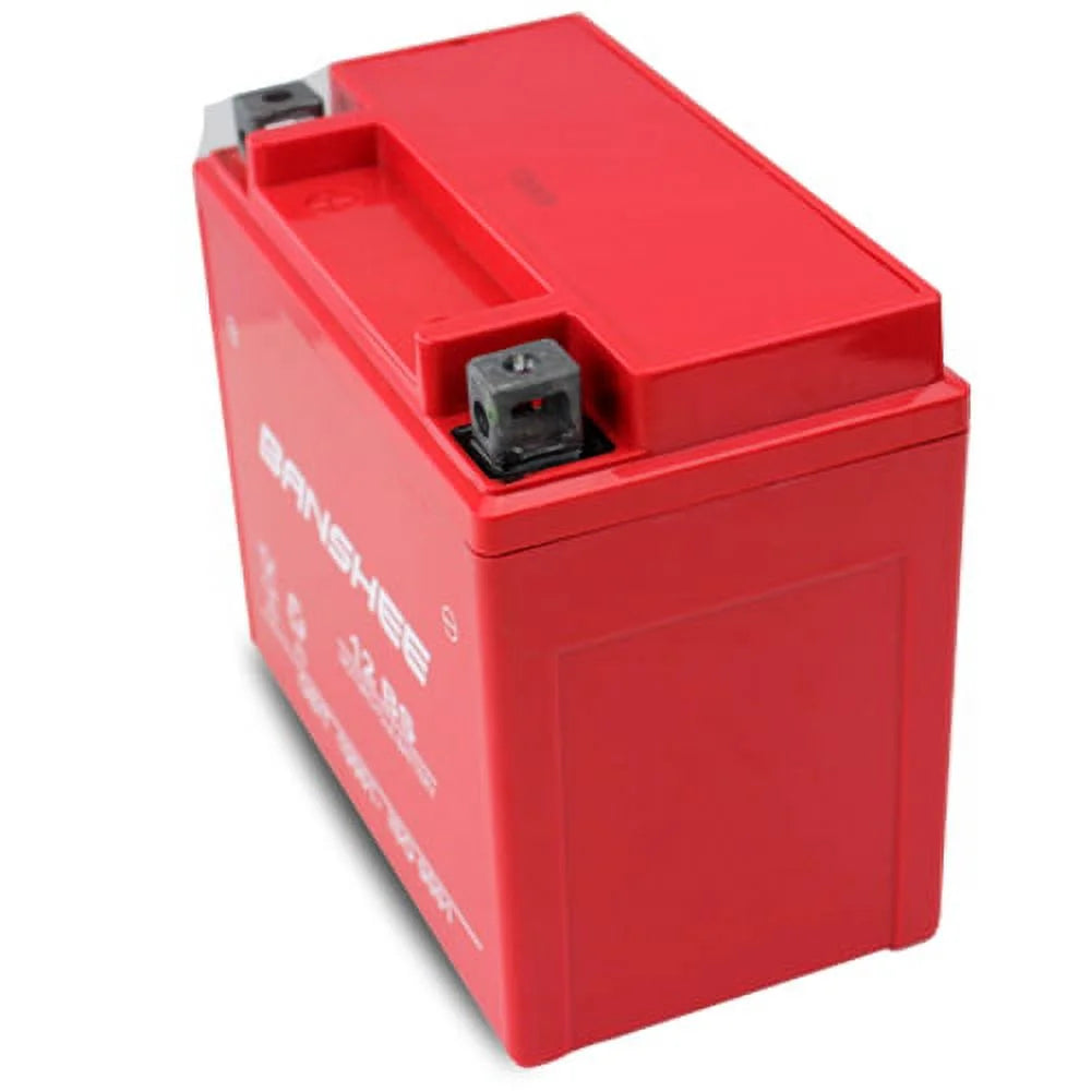 12V 12 Ah SLA AGM Battery B498