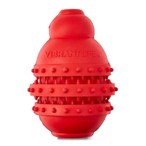 Dog Toy V921