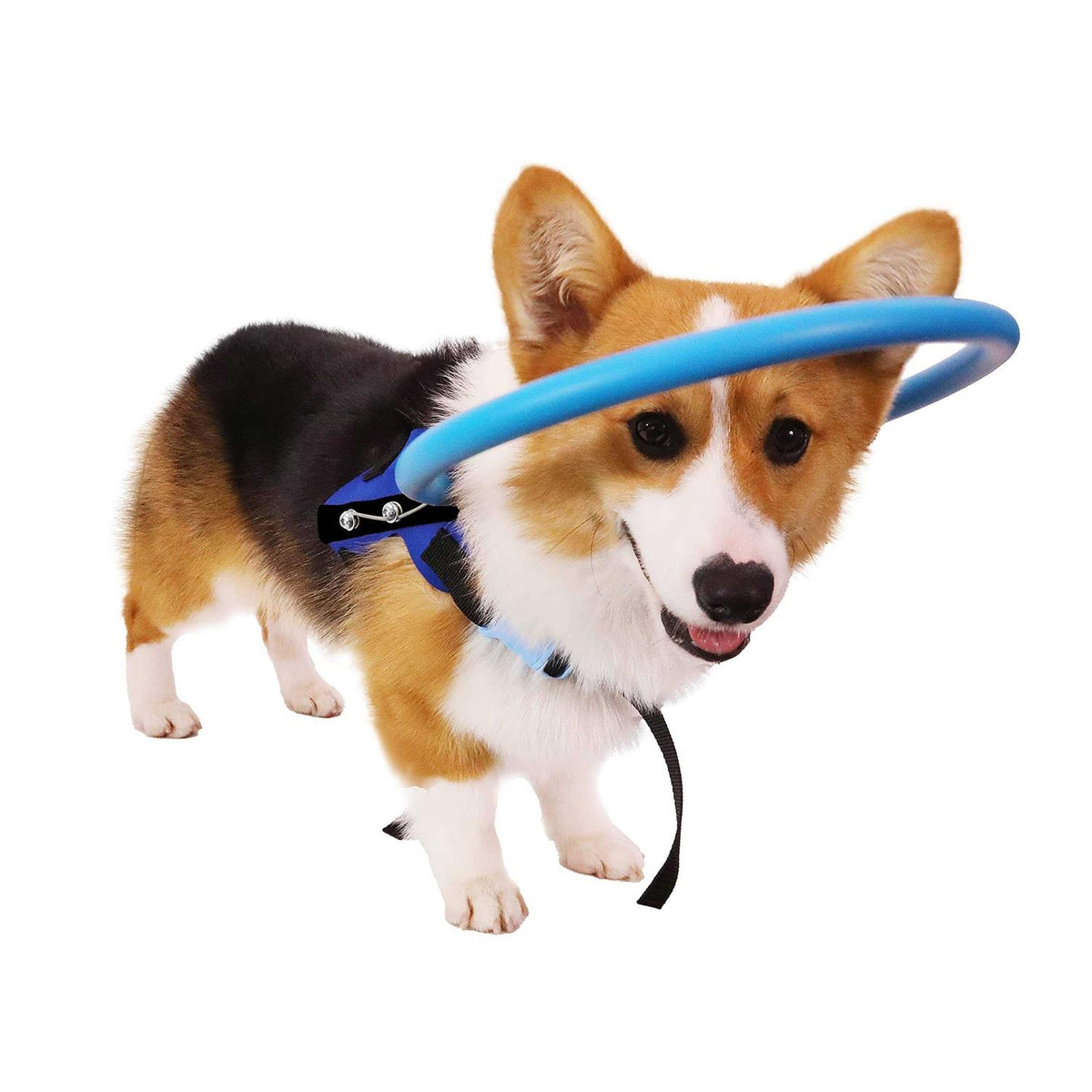 Blind Dog Harness Guiding Device Q80459