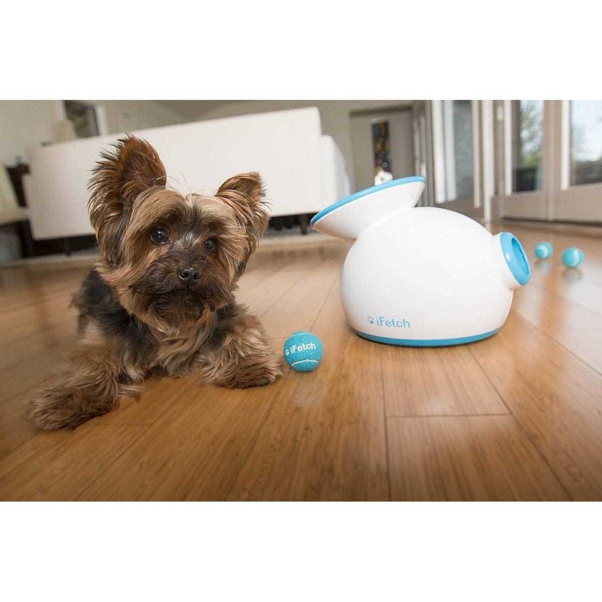 Interactive Dog Ball Launcher K53999