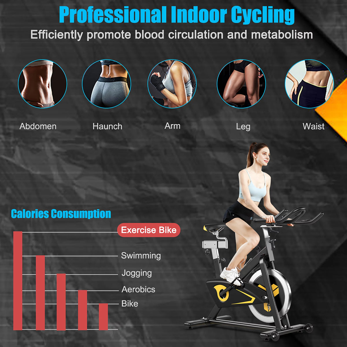 Indoor Cycling Bike Magnetic Exercise Bike Belt Drive W938