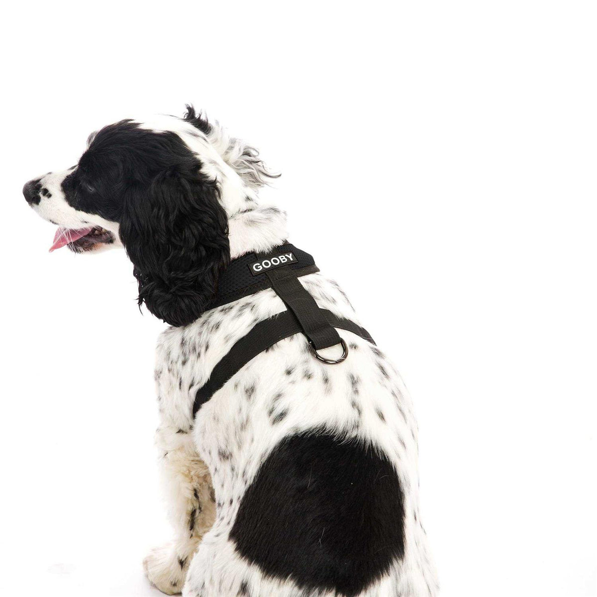 Step-In Dog Harness H3394