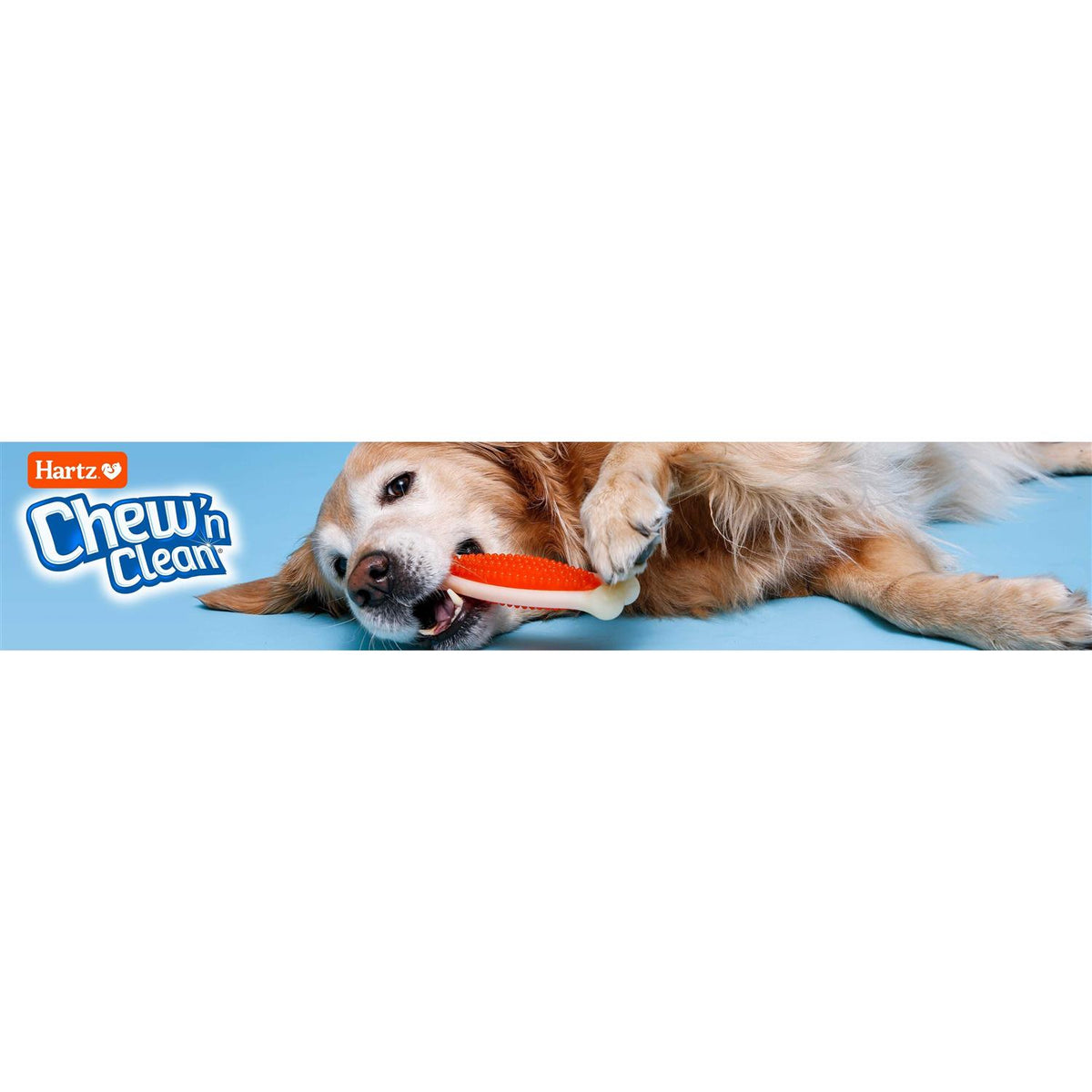 Tough Dog Chew Toy I570