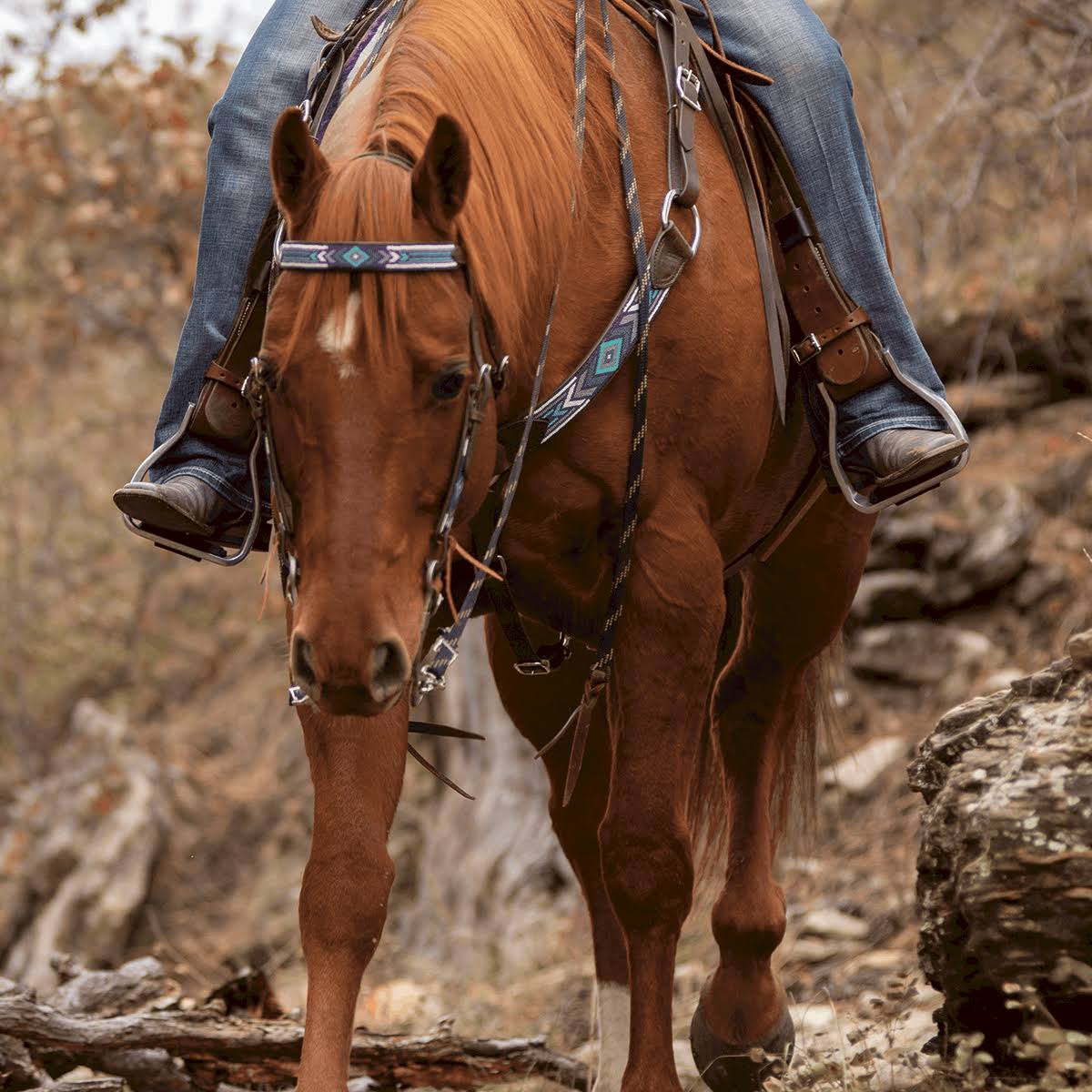 Beaded Slip Ear Headstall V88017