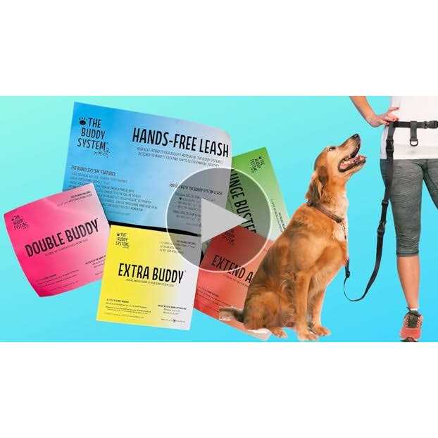 Adjustable Hands Free Dog Leash T848693