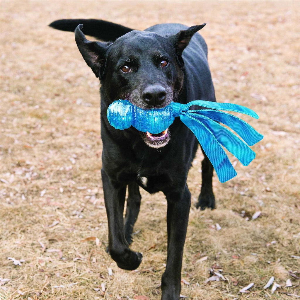 Dog Toy N250