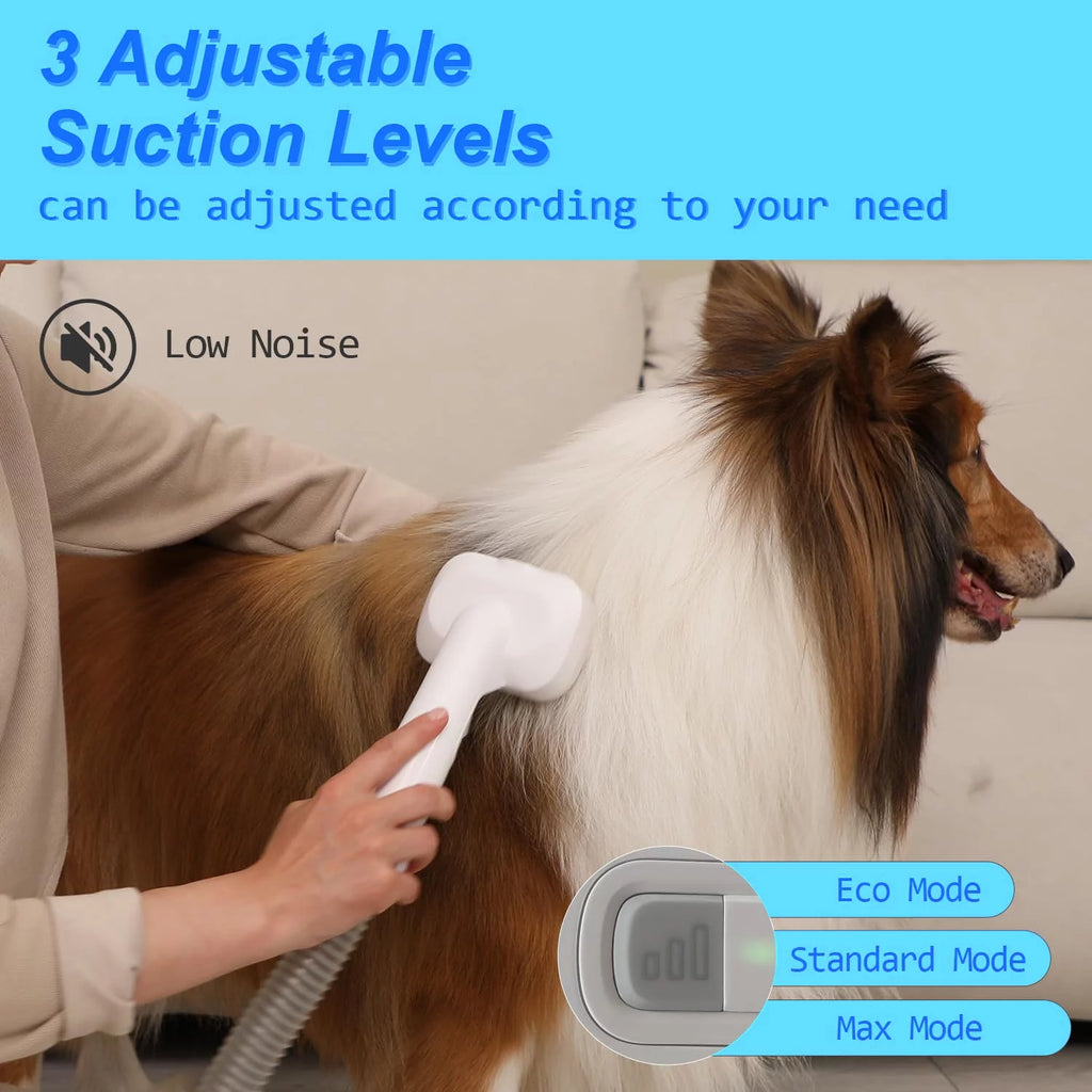 Pet Grooming Kit & Vacuum, 5 in 1, 2L Dustbin T150