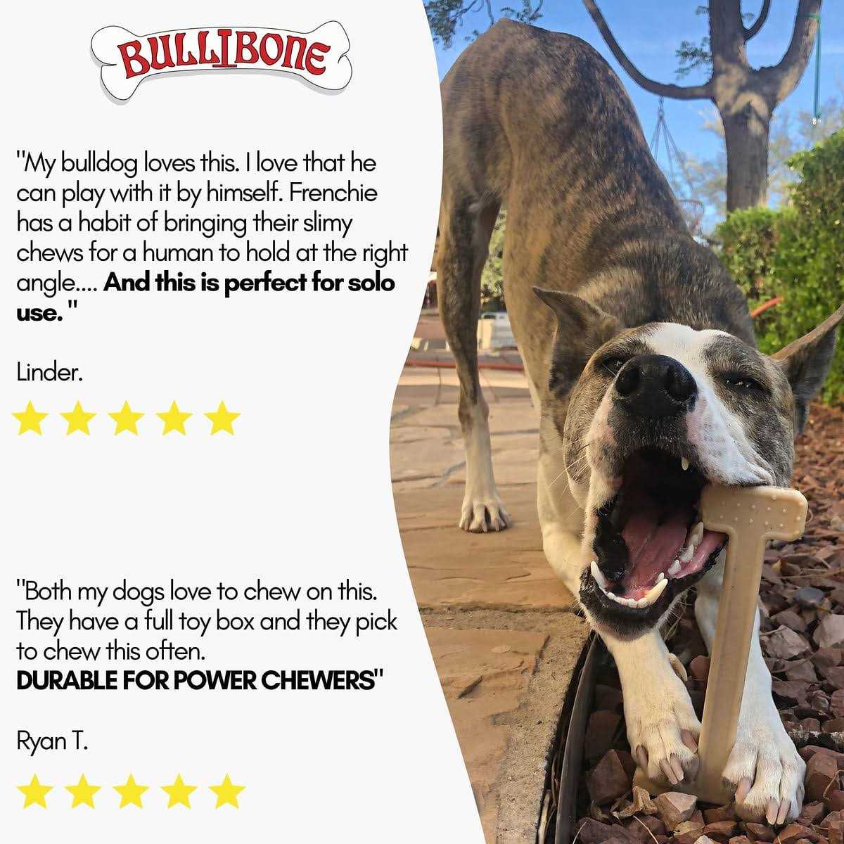 Nylon Dog Chew Toy G3800