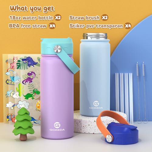 18oz Insulated Stainless Steel Kids Water Bottle with Stickers N138