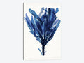 Indigo Ocean IV Canvas Art S848189