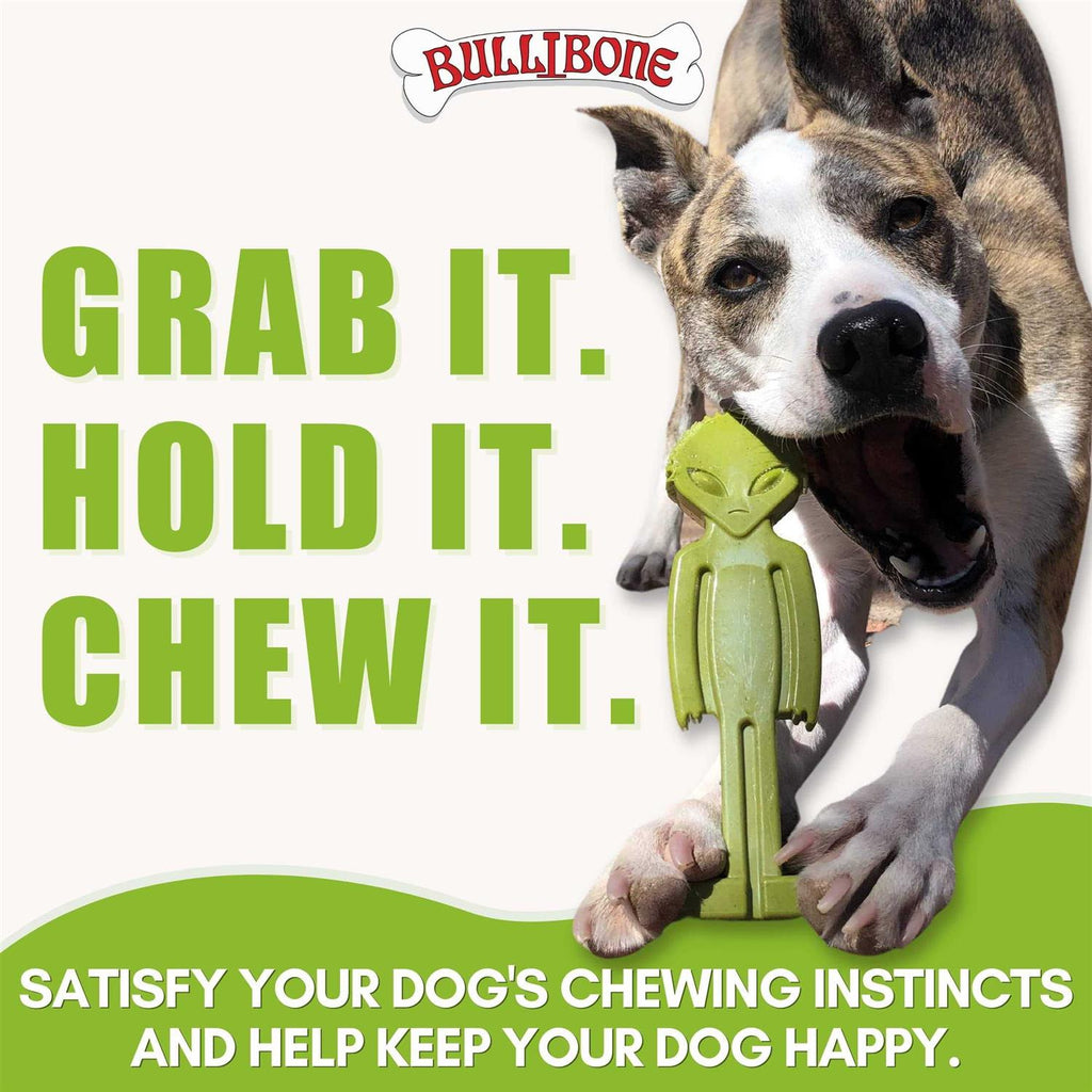 Small Alien Bone Dog Chew Toy with Easy Hold Grips V53838