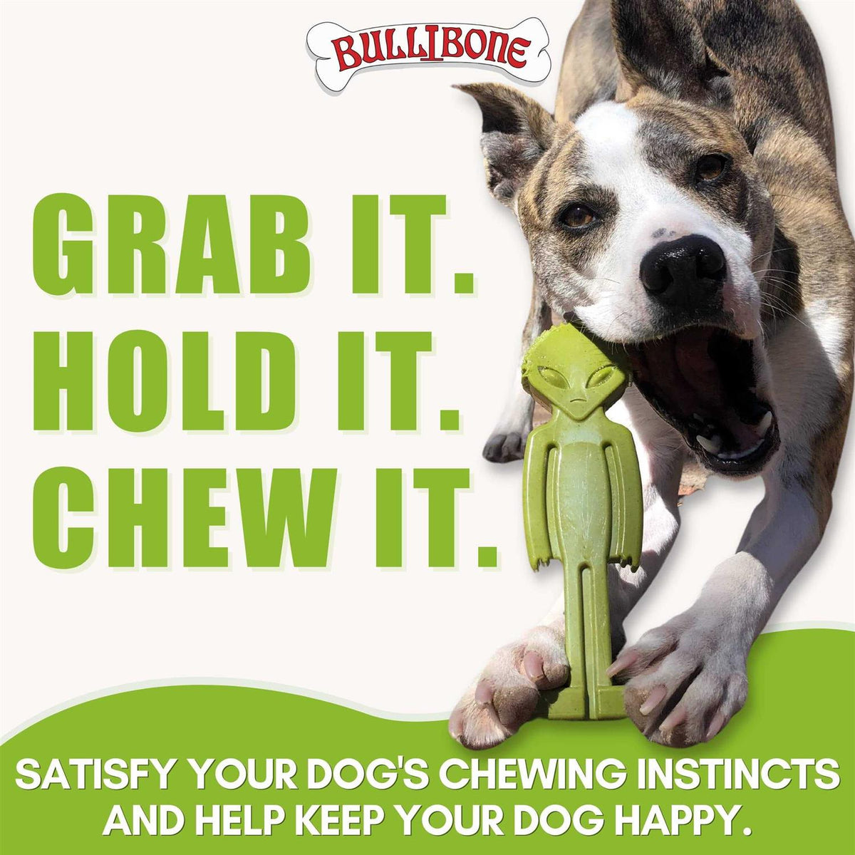 Small Alien Bone Dog Chew Toy with Easy Hold Grips V53838