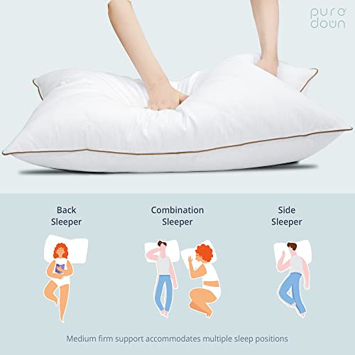 Goose Feathers and Down Pillow Set of 2 King Y9810