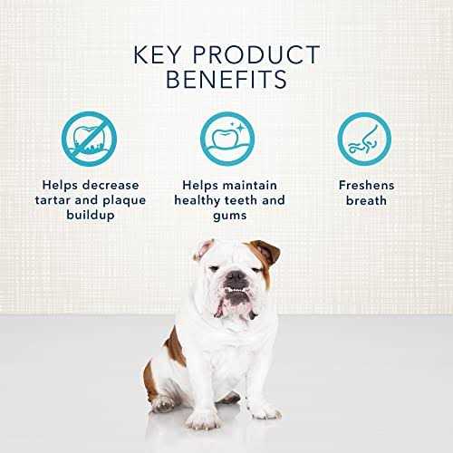 Dental Bones Dog Treats I9326