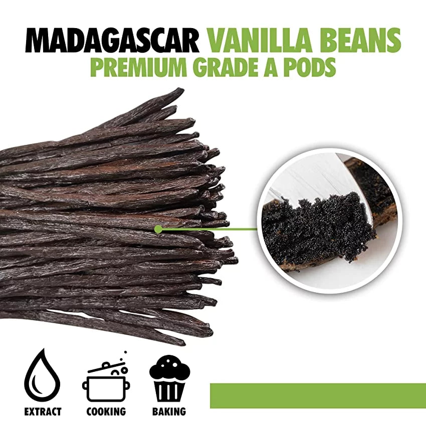 4oz Organic Vanilla Beans Grade A Z439873
