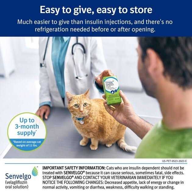 Oral Solution for Cats 15mg/ml L13604