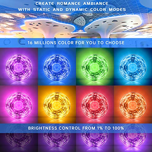 25FT RGB LED Strip Lights with 44 Keys IR Remote N420948