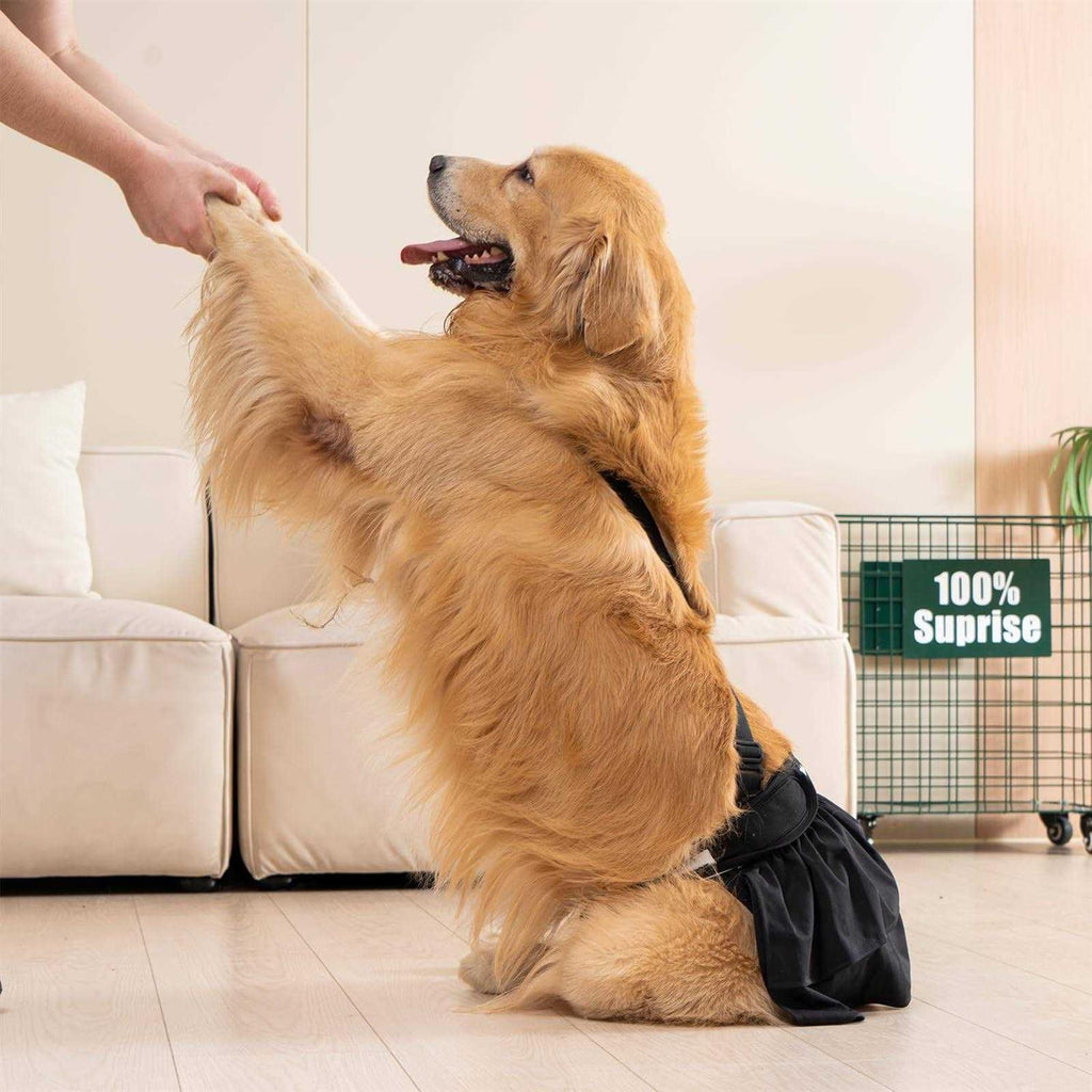 Washable Female Dog Diaper with Suspender 3 Pack M9776