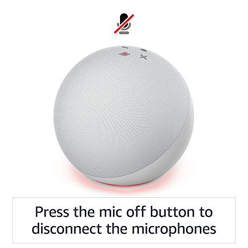 Charcoal Alexa Speaker E981