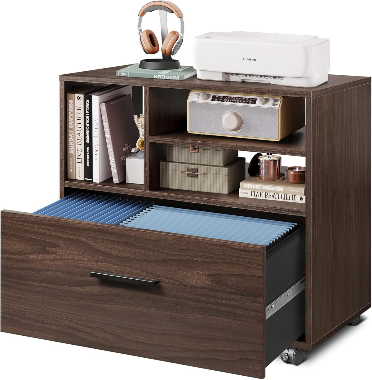 Wood Lateral File Cabinet with 1 Drawer, Printer Stand with Storage Shelves, Mobile Filing Cabinet, Walnut E94984