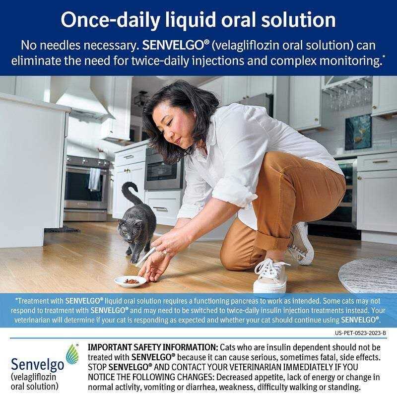 Oral Solution for Cats 15mg/ml L13604