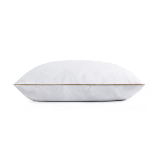 Goose Feathers and Down Pillow Set of 2 King Y9810