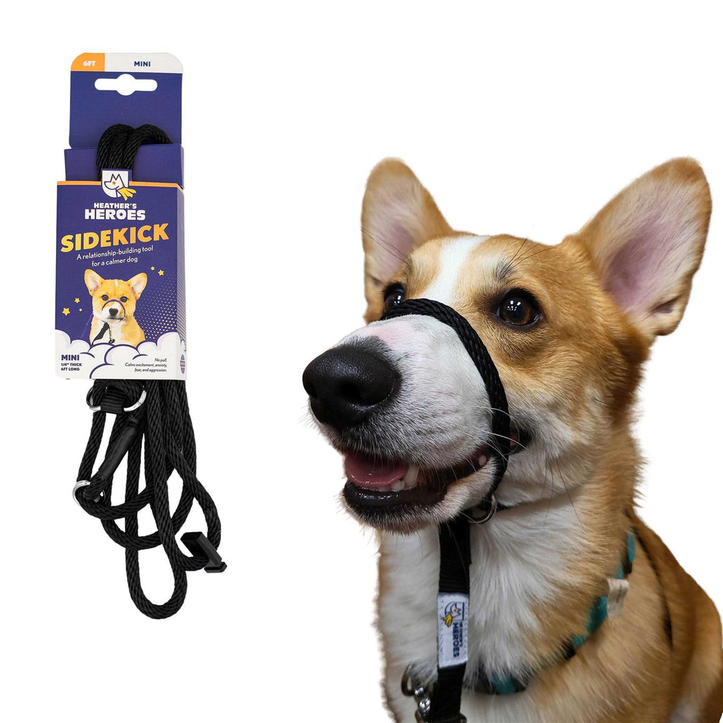 Pet Supplies S59796