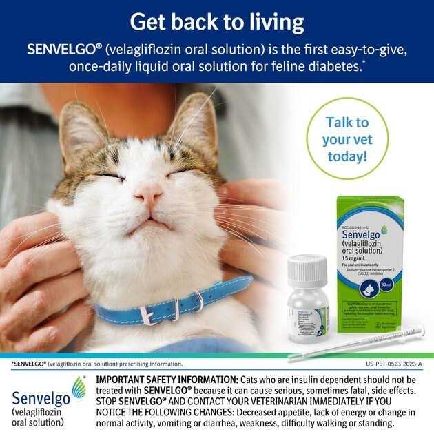 Oral Solution for Cats 15mg/ml L13604