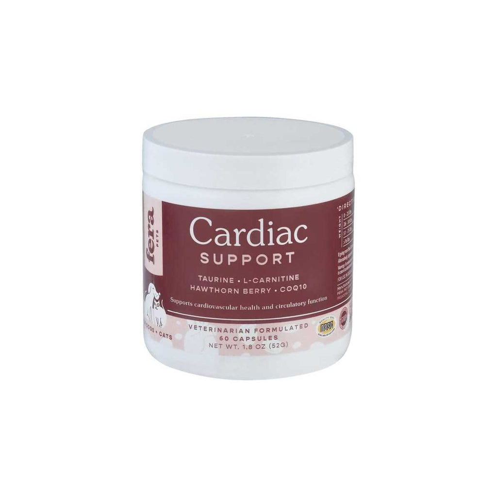 Cardiac Support for Dogs + Cats P3758